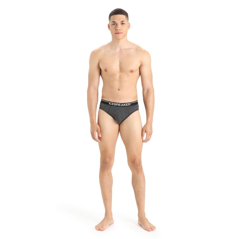 Icebreaker Mens Anatomica Briefs image number 7